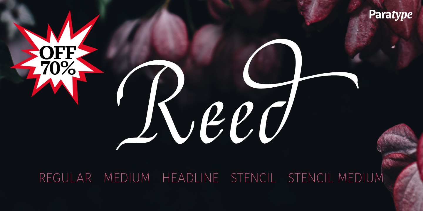 Beispiel einer Reed-Schriftart #9